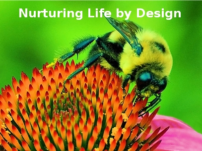 Nurturing Life by Design